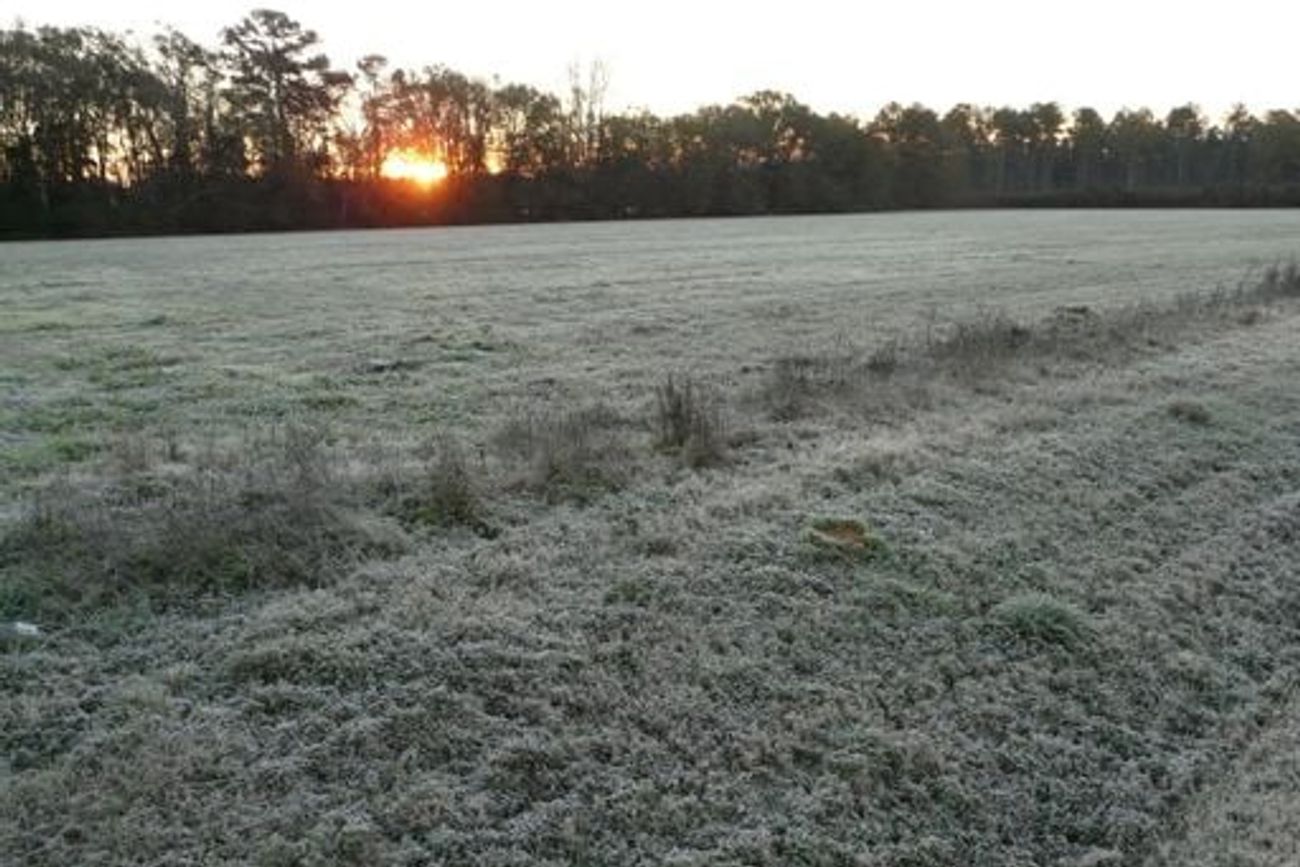 HELADAS. Llegó la primera ráfaga de temperaturas bajas, en localidades de Río Cuarto se superó la barrera de los -3 °C.
