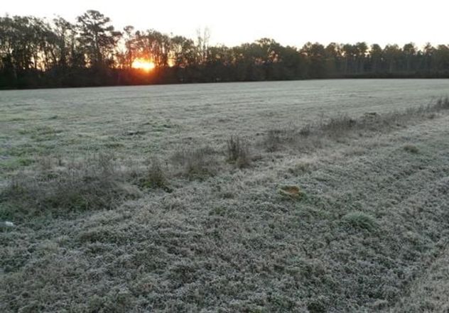 En localidades de Río Cuarto se superó la barrera de los -3°C esta semana.