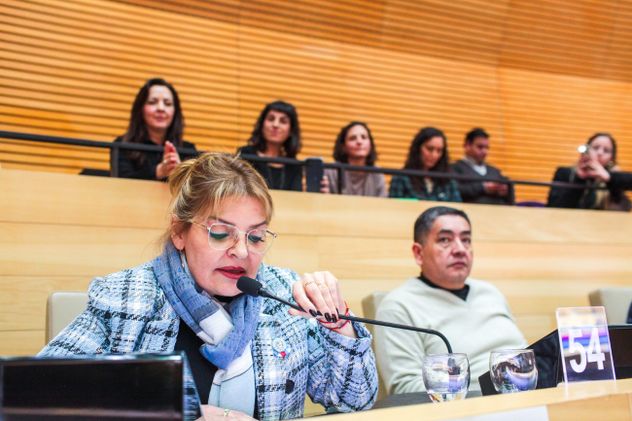 La legisladora Silvina Jurich durante el tratamiento de la ley en la Unicameral.