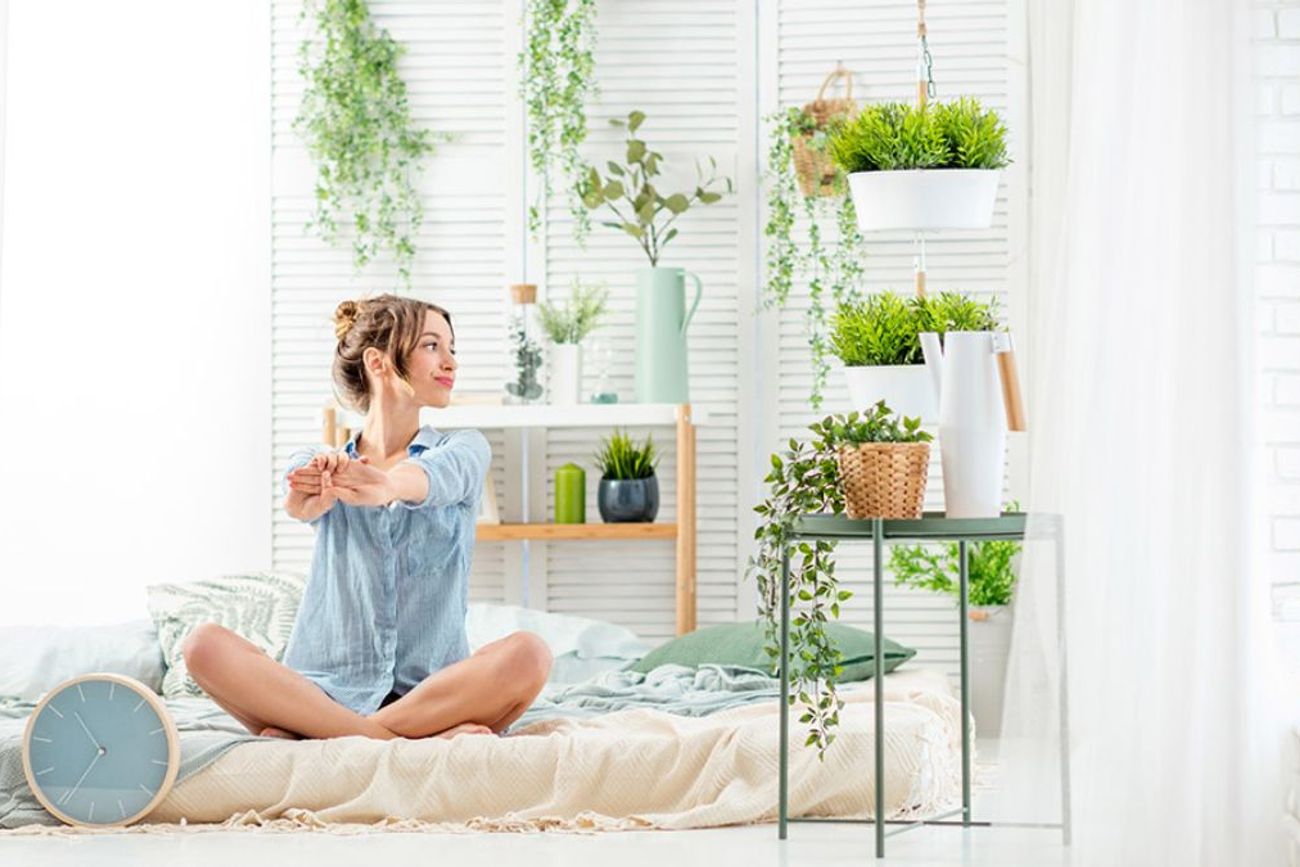El riego excesivo y los “tips” de redes sociales sin fundamento son dos de las principales causas por las que muchas plantas no sobreviven en interiores.