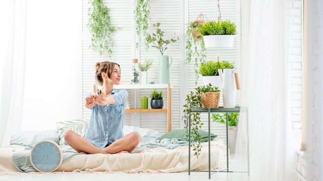 Elegir las plantas adecuadas puede mejorar el descanso y crear un ambiente más relajante en el dormitorio.