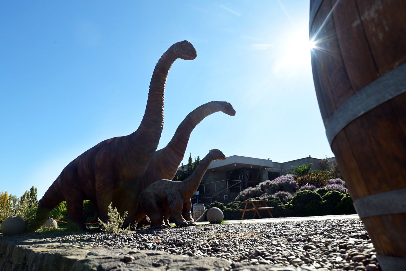 FAMILIA SCHROEDER.Uno de los clásicos de la zona se destaca por su restaurante y su enorme bodega en la que durante su construcción se encontraron restos de un dinosaurio que se convirtió en el símbolo del emprendimiento.
