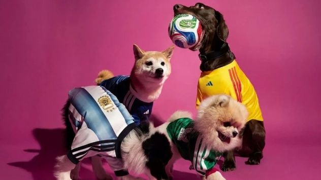 Adidas lanza camisetas oficiales del Mundial 2026 para perros, una tendencia que busca sumar a las mascotas a la pasión futbolera.