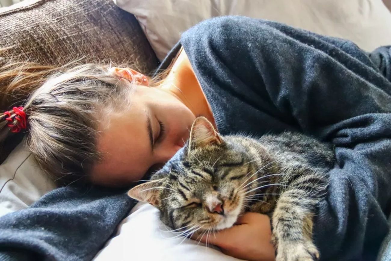 Donde duerme tu gato y por qué importa: lo que dice la ciencia sobre su relación con vos