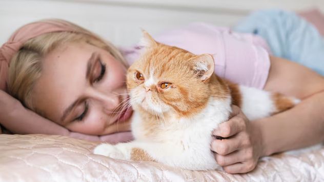 Dónde duerme tu gato y por qué importa: lo que dice la ciencia sobre su relación con vos.