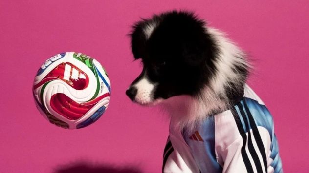 Adidas lanza camisetas oficiales del Mundial 2026 para perros, una tendencia que busca sumar a las mascotas a la pasión futbolera.