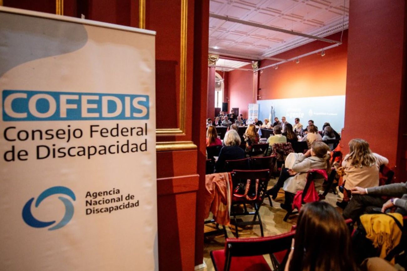 Consejo Federal de Discapacidad.