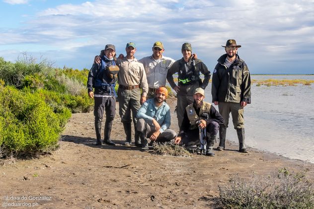 Córdoba. Monitorean por primera vez vía satélite a un aguará guazú en el Parque Nacional Ansenuza.