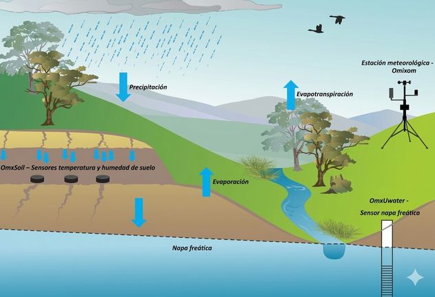 AGUA. Diagrama de napa.