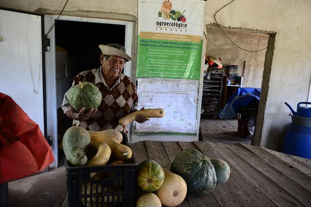 En un contexto de cambio climático, la agroecología ofrece herramientas de adaptación. 