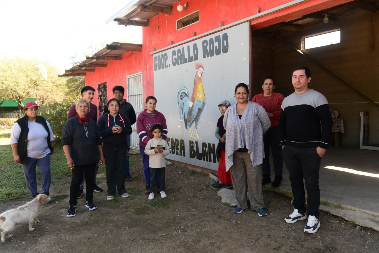 "Gallo Rojo", la historia de emprendedoras cordobesas que producen huevos donde el agua no llega. 