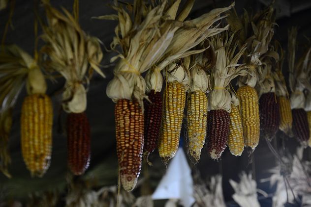 Agroecología: no se trata simplemente de reemplazar insumos o técnicas, sino de un cambio de paradigma.