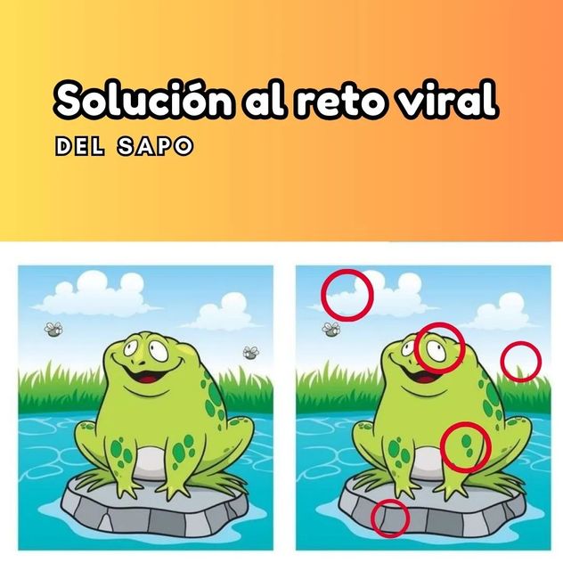 El acertijo visual.