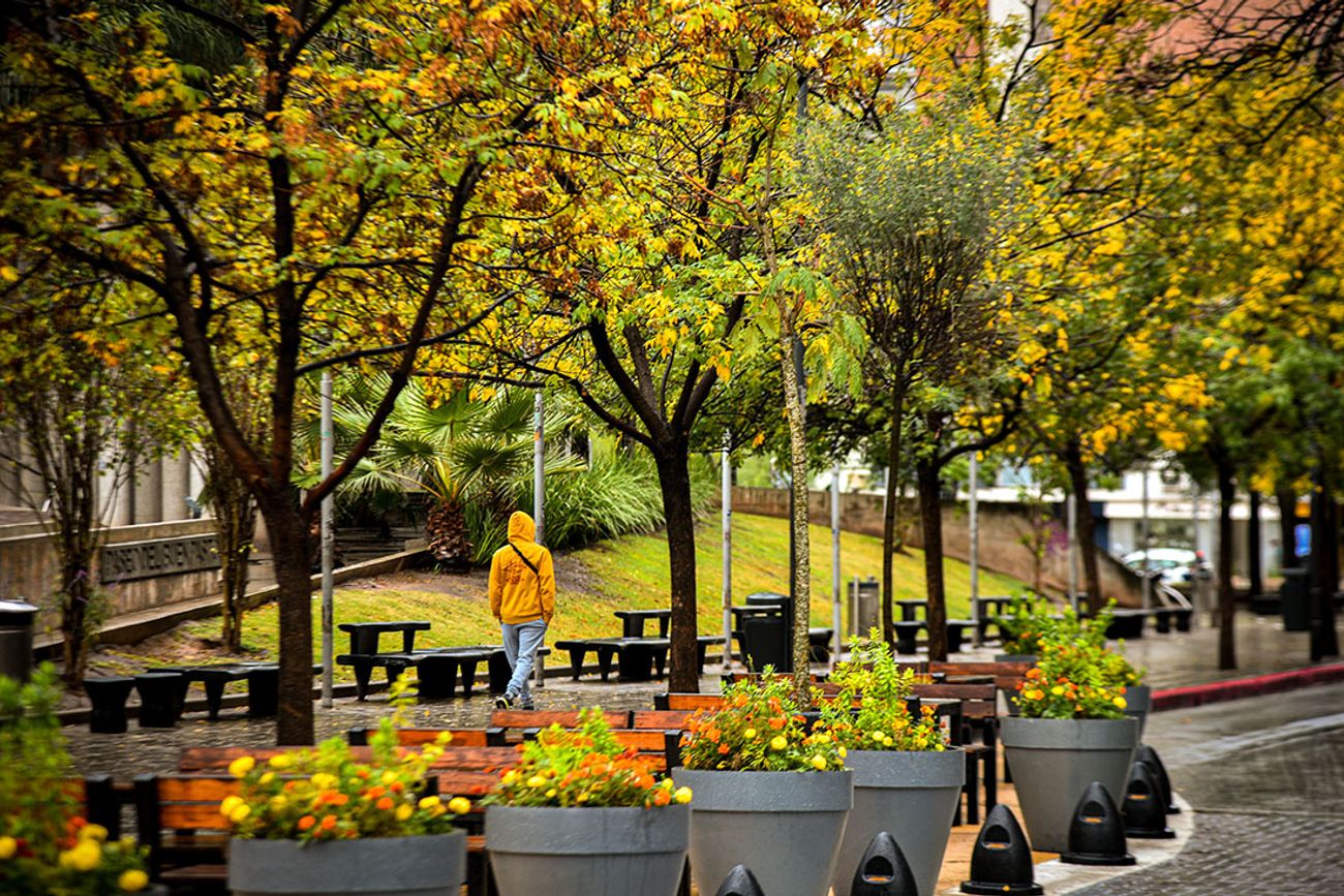 Otoño en Córdoba.