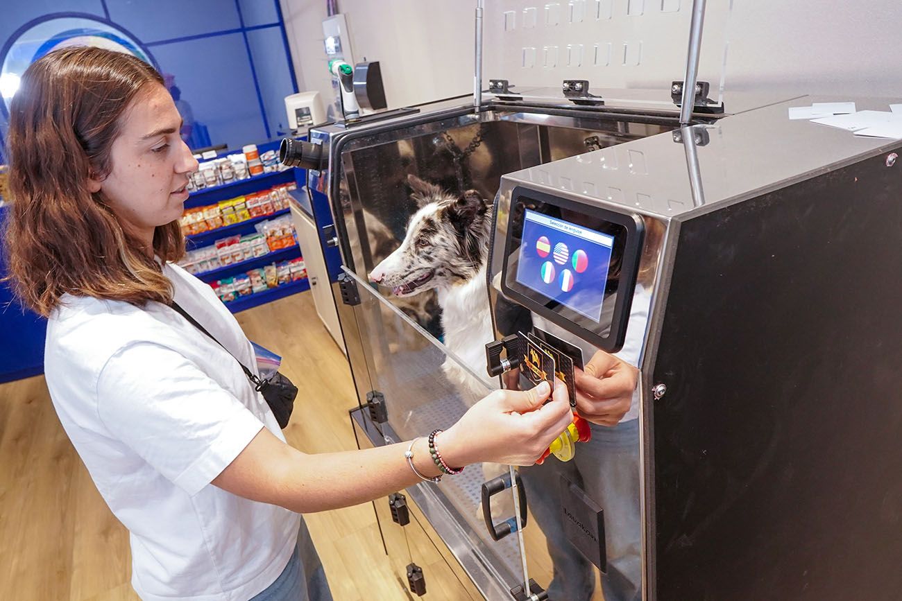 La automatización se traduce en soluciones diseñadas exclusivamente para el baño de perros. 