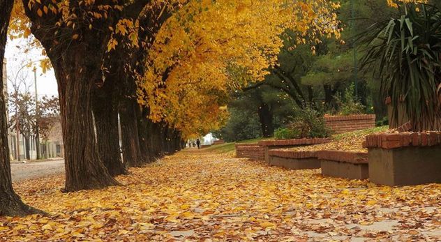 Otoño en Córdoba.