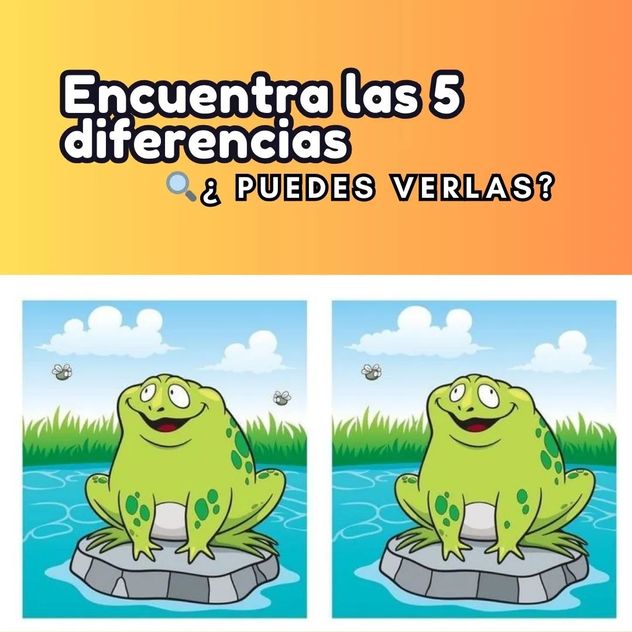 El acertijo visual.