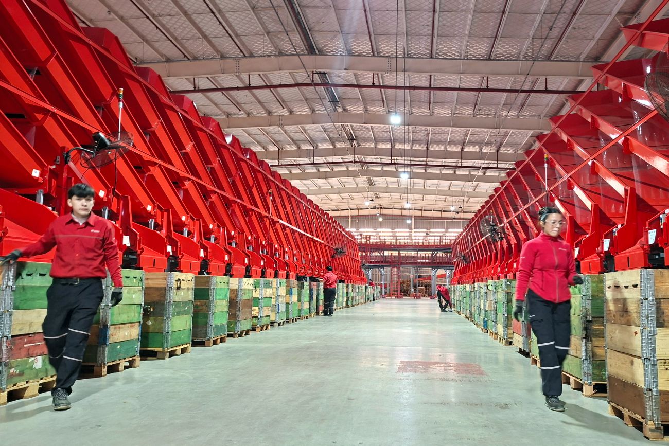 GIGANTE. La nueva planta de Andreani en Pacheco, Buenos Aires, ocupa 20 mil metros cuadrados, en un lote de 70 mil metros cuadrados. Puede procesar 520 mil paquetes diarios. 