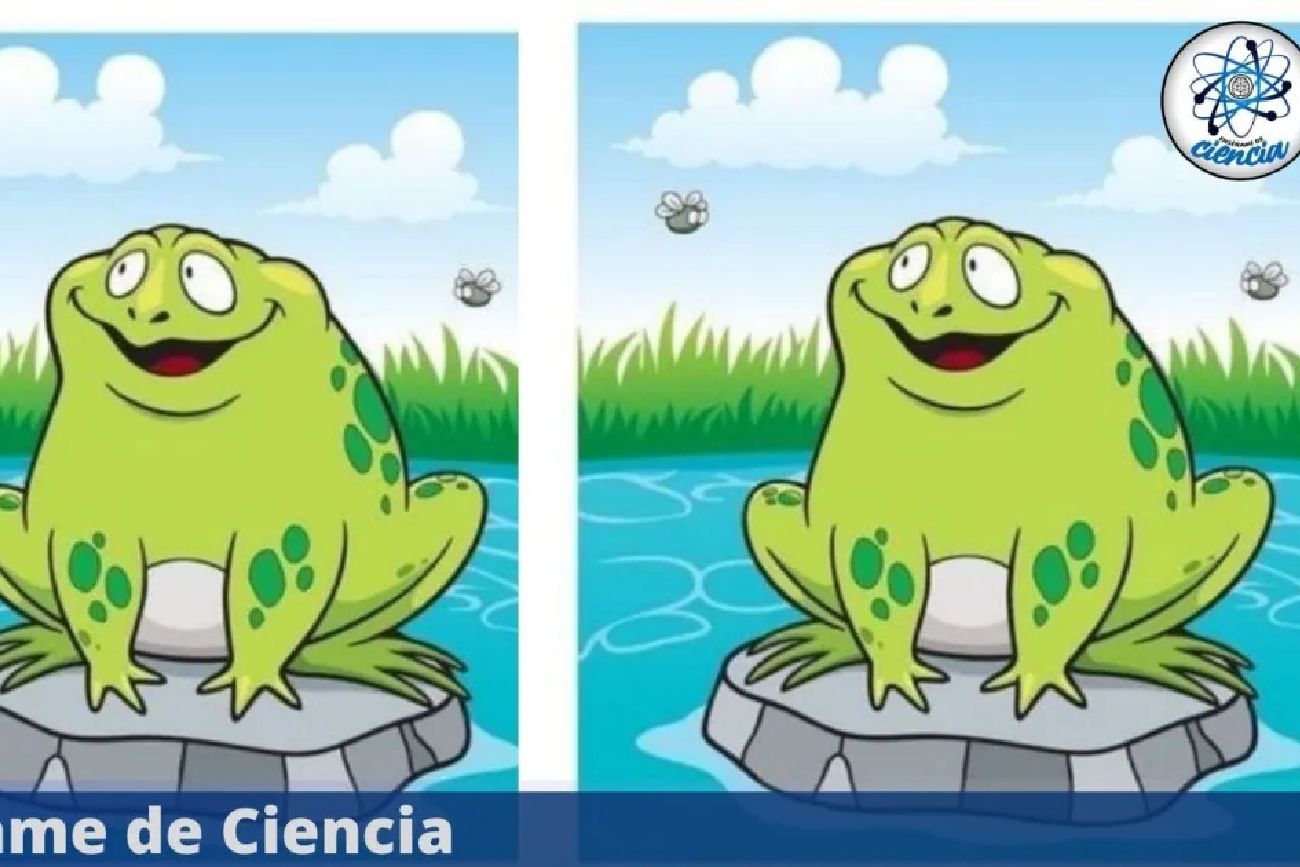 El acertijo visual.
