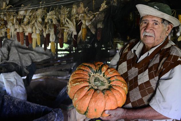 Existen al menos 200 productores que abastecen de alimentos frescos y que podrían avanzar hacia prácticas agroecológicas.