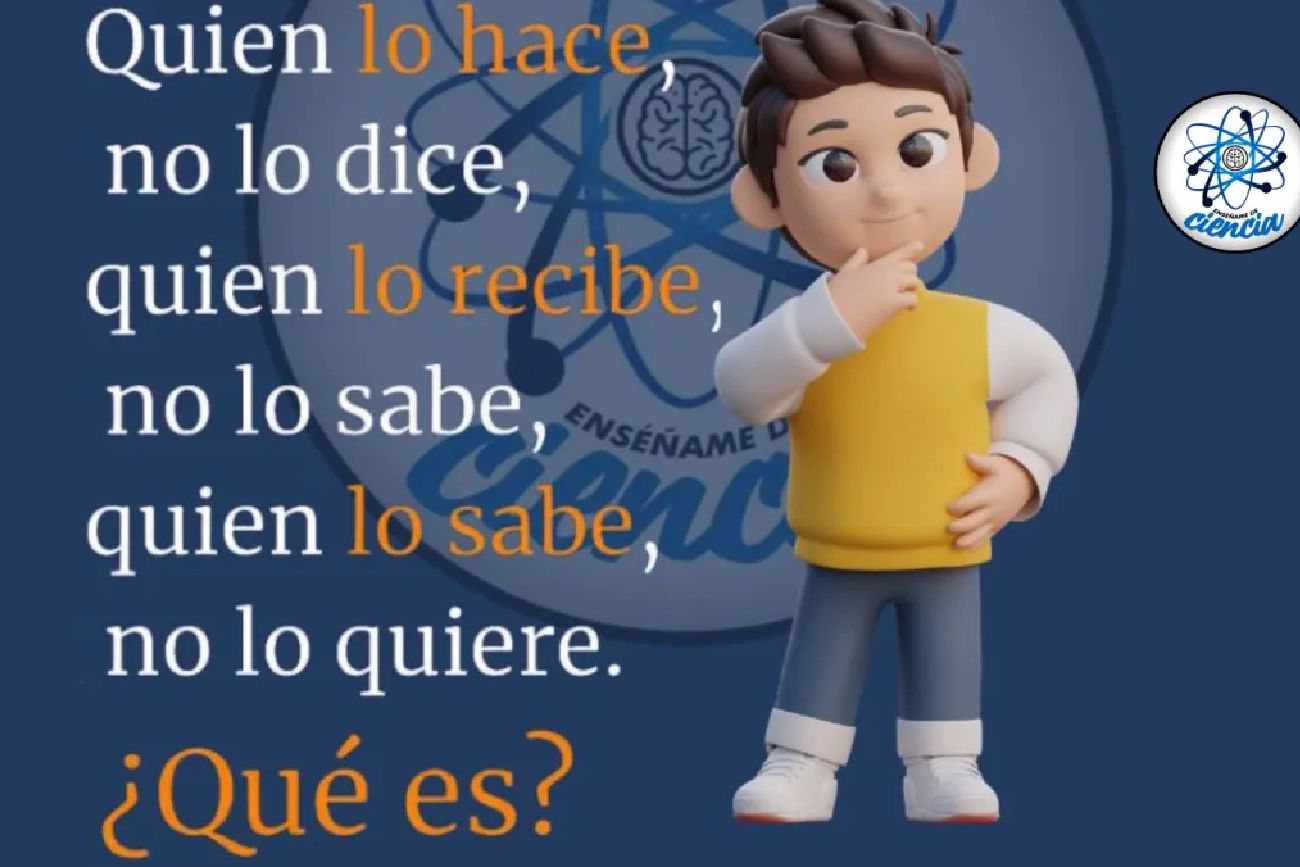 El acertijo visual.