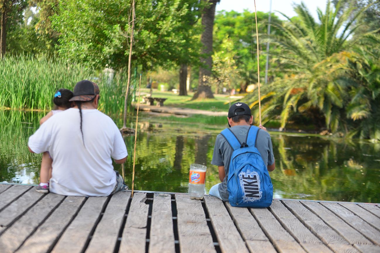 Vínculos entre padres y madres con hijos: una construcción a trabajar. 