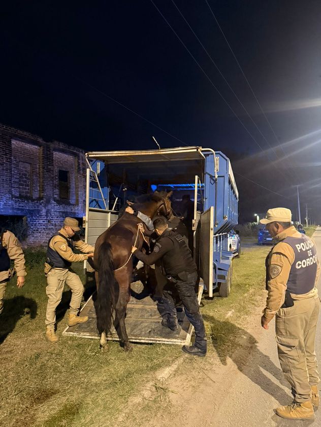 Dos operativos de las divisiones rurales de la Policía terminaron con personas detenidas por caza ilegal de carpinchos y maltrato de caballos.
