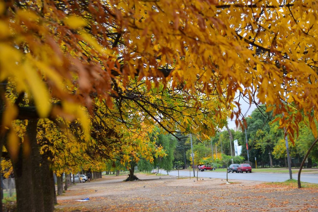 Otoño en Córdoba. Clima.