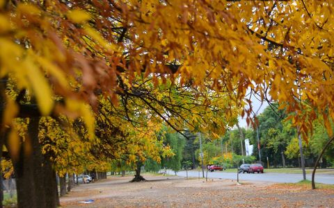 Otoño en Córdoba. Clima.