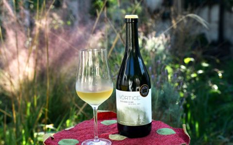 Bodega Las Cañitas en el Calamuchita elabora un sauvignon blanc premiado por diferentes críticos del mundo. Gabriel Campana enólogo y Juan Navarro propietario en la bodega. 