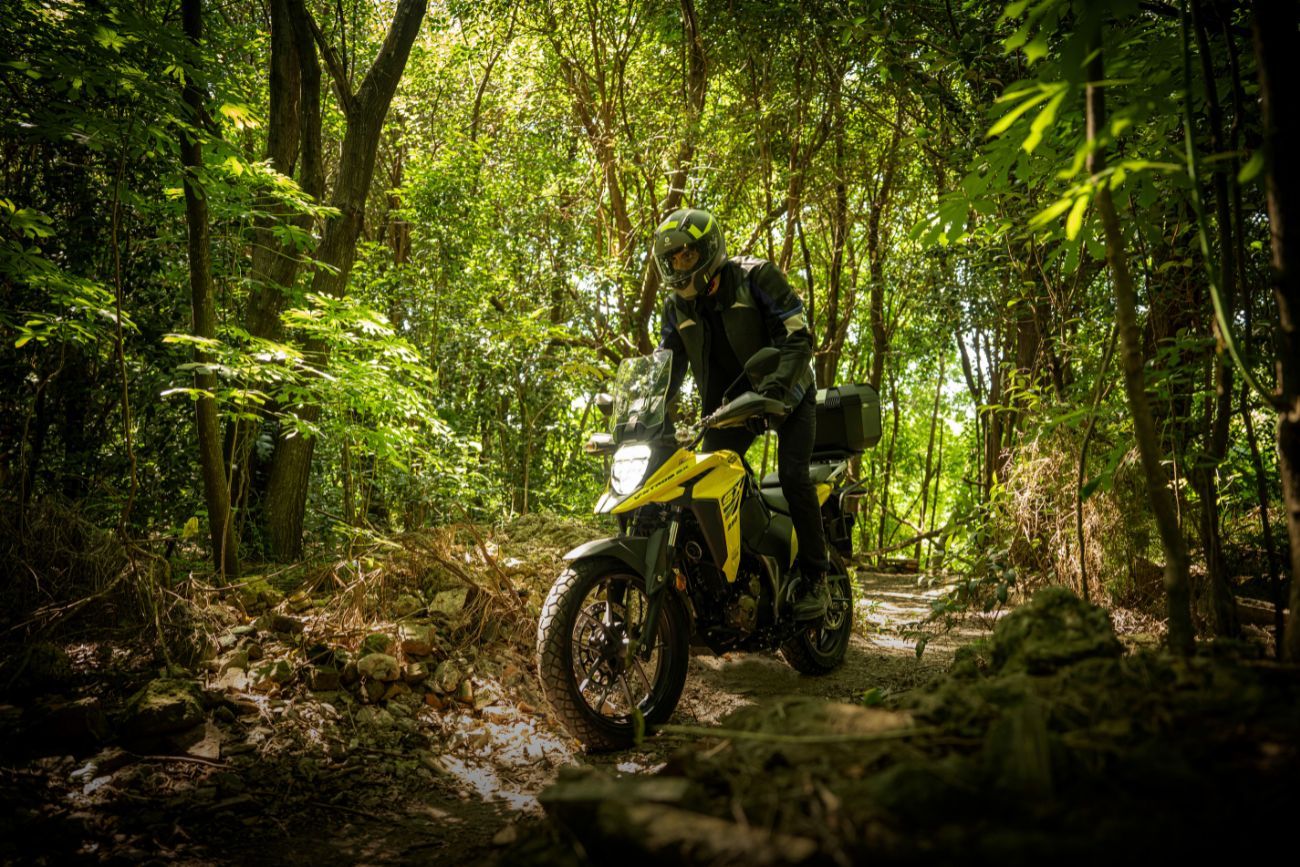 Suzuki V-Strom 250 SX.