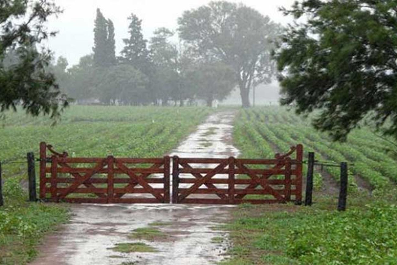 LLUVIAS . El mayor registro se dio en Pampayasta Norte con  23,6 milímetros acumulados.
