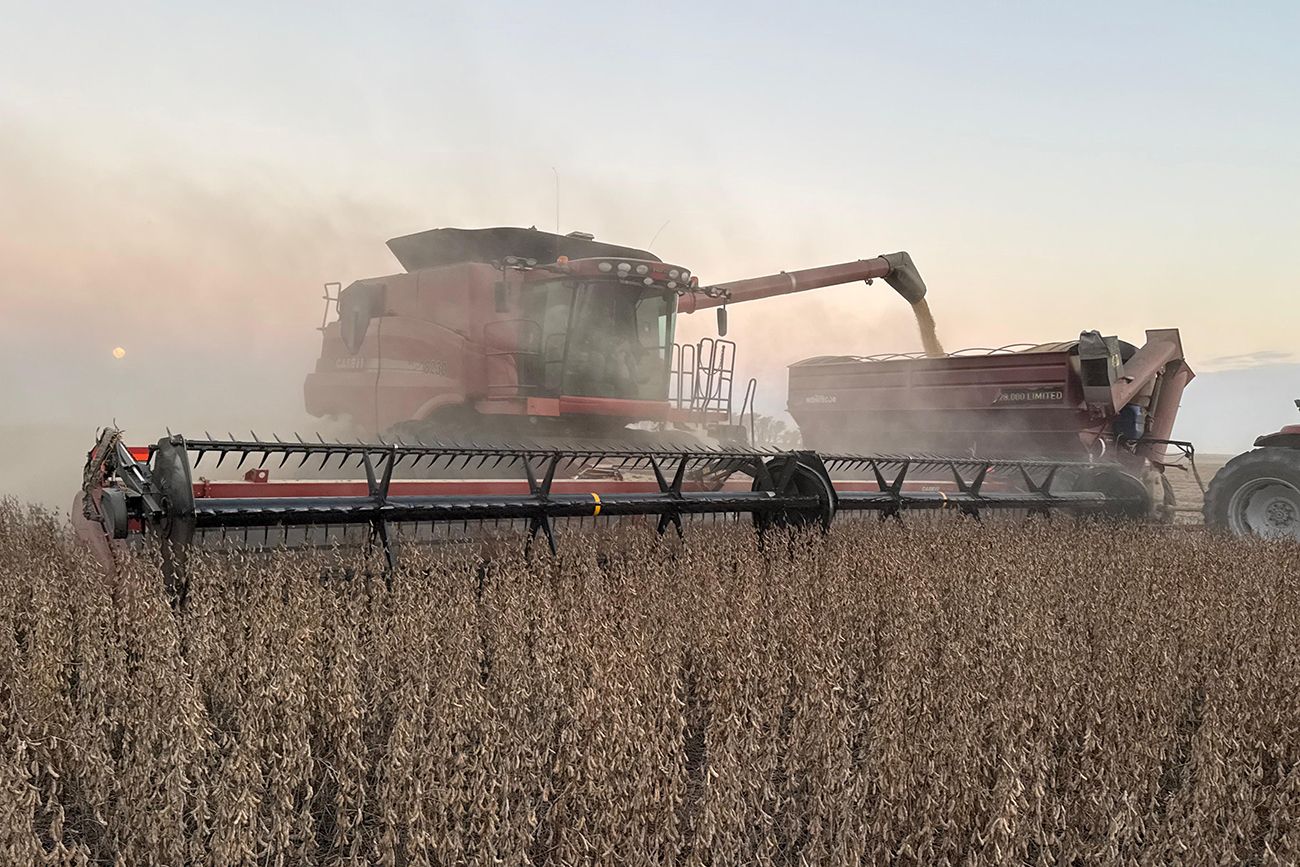 MOMENTO. Mientras avanza la cosecha de soja en el país, Europa pone el acento en la contaminación, con variedades no autorizadas, de embarques de harina de soja argentina.