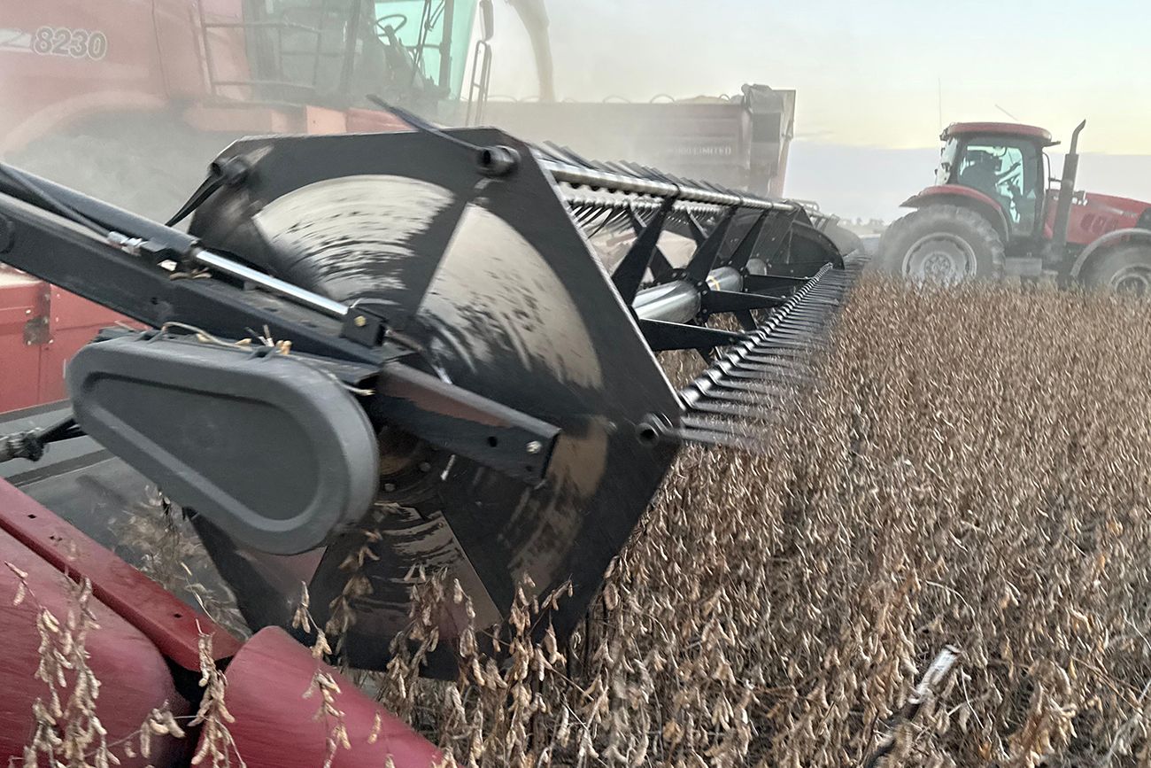 SOJA. La tecnología disponible en Argentina en semillas de la oleaginosa es inferior en cantidad y calidad a la que disponen los productores brasileños.