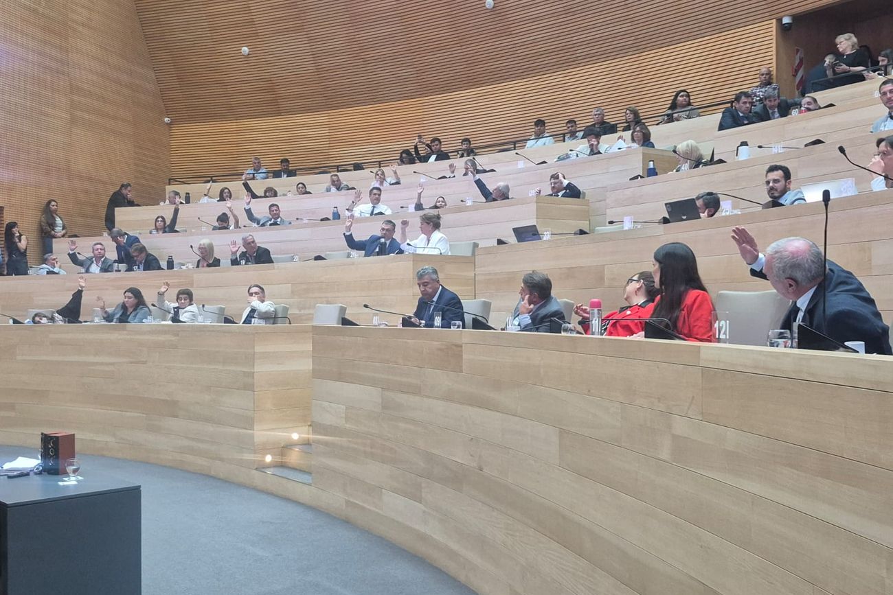 En la Legislatura, se aprobó por mayoría el apoyo a la marcha federal. 