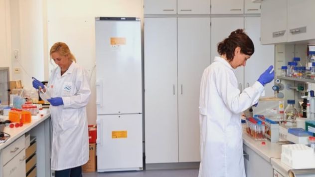 La investigación fue realizada por un equipo de científicas de dos institutos del Conicet: el Centro para el Estudio de Sistemas Marinos (Cesimar) y el Instituto Argentino de Oceanografía (Iado).