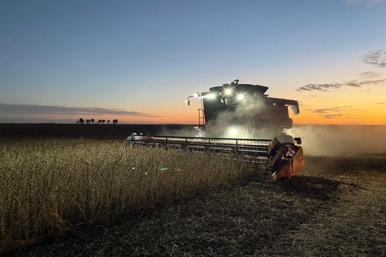 BALANCE. El Estado se queda con el 55% del excedente económico generado por una hectárea agrícola en la provincia.
