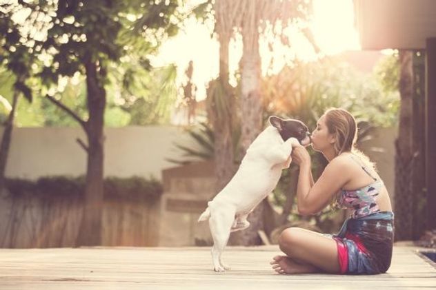 Por qué tu perro se desespera cuando llegás y qué significa realmente.