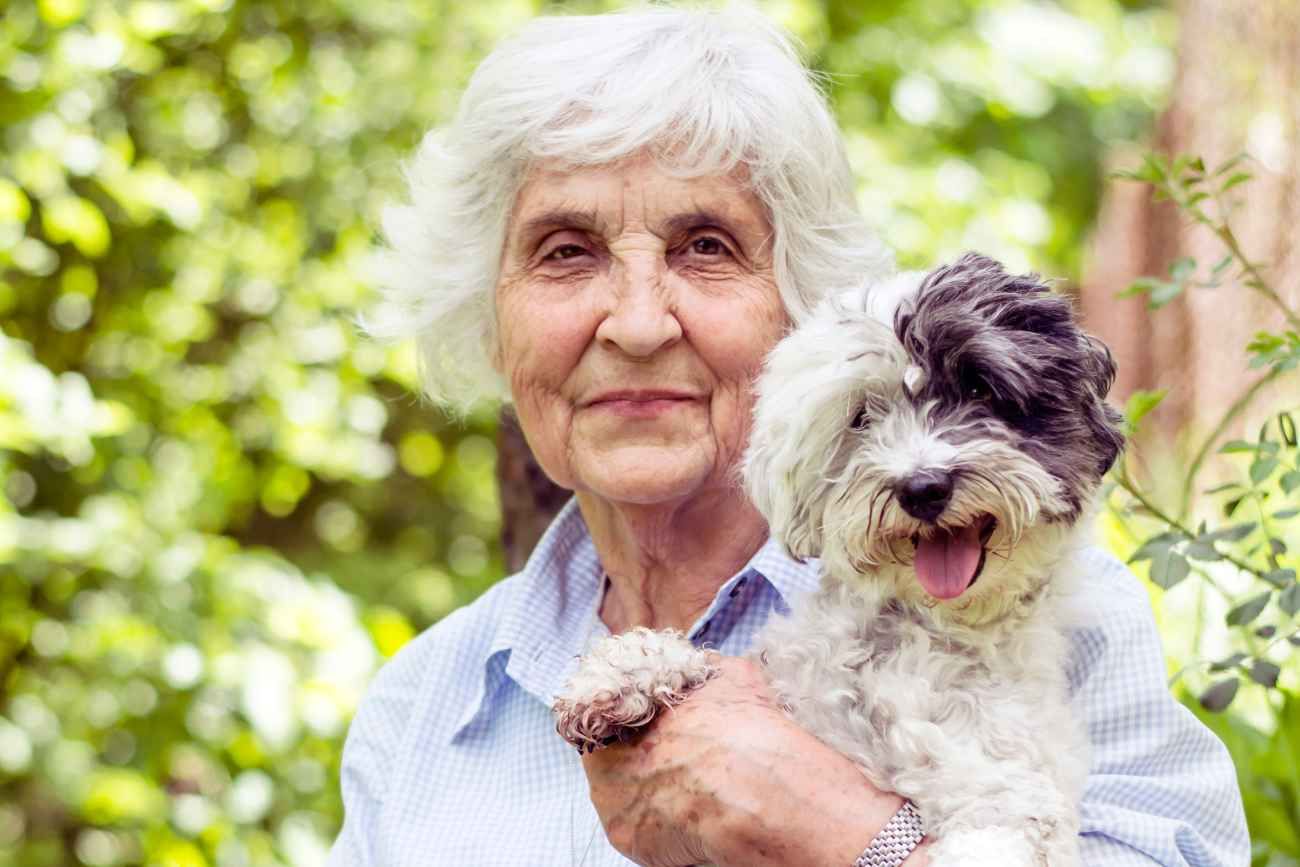 Tener una mascota en la tercera edad puede ser un motor de vida, aunque requiere elegir al compañero adecuado según el ritmo y la salud de cada persona.