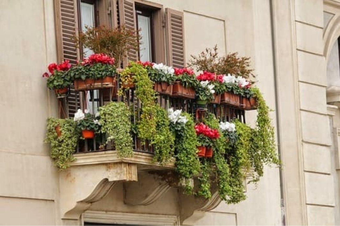 Qué árboles elegir para el balcón si tenés poco espacio y poco tiempo