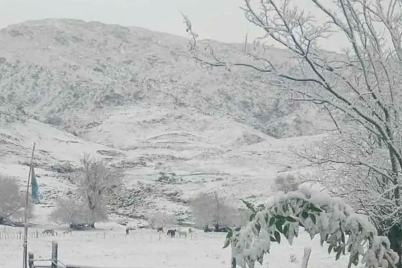 Cuándo llega la nieve a Córdoba: las zonas bajo alerta amarilla por nevadas (Imagen archivo)