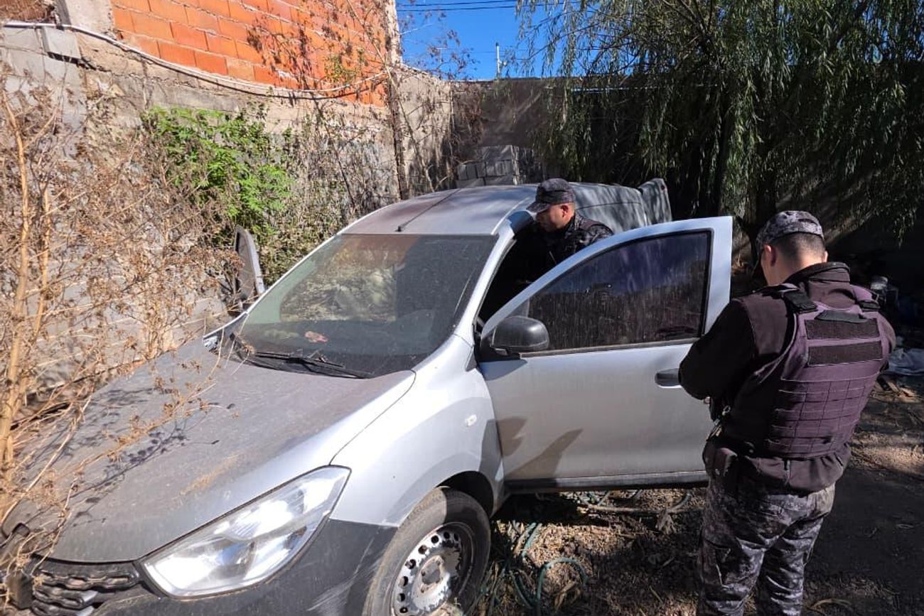 Córdoba: secuestraron autos con pedido de captura y 50 plantas de marihuana