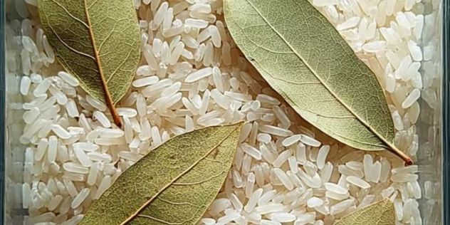 ¿Te sobró arroz? Tres recetas para aprovecharlo y lograr nuevos platos.