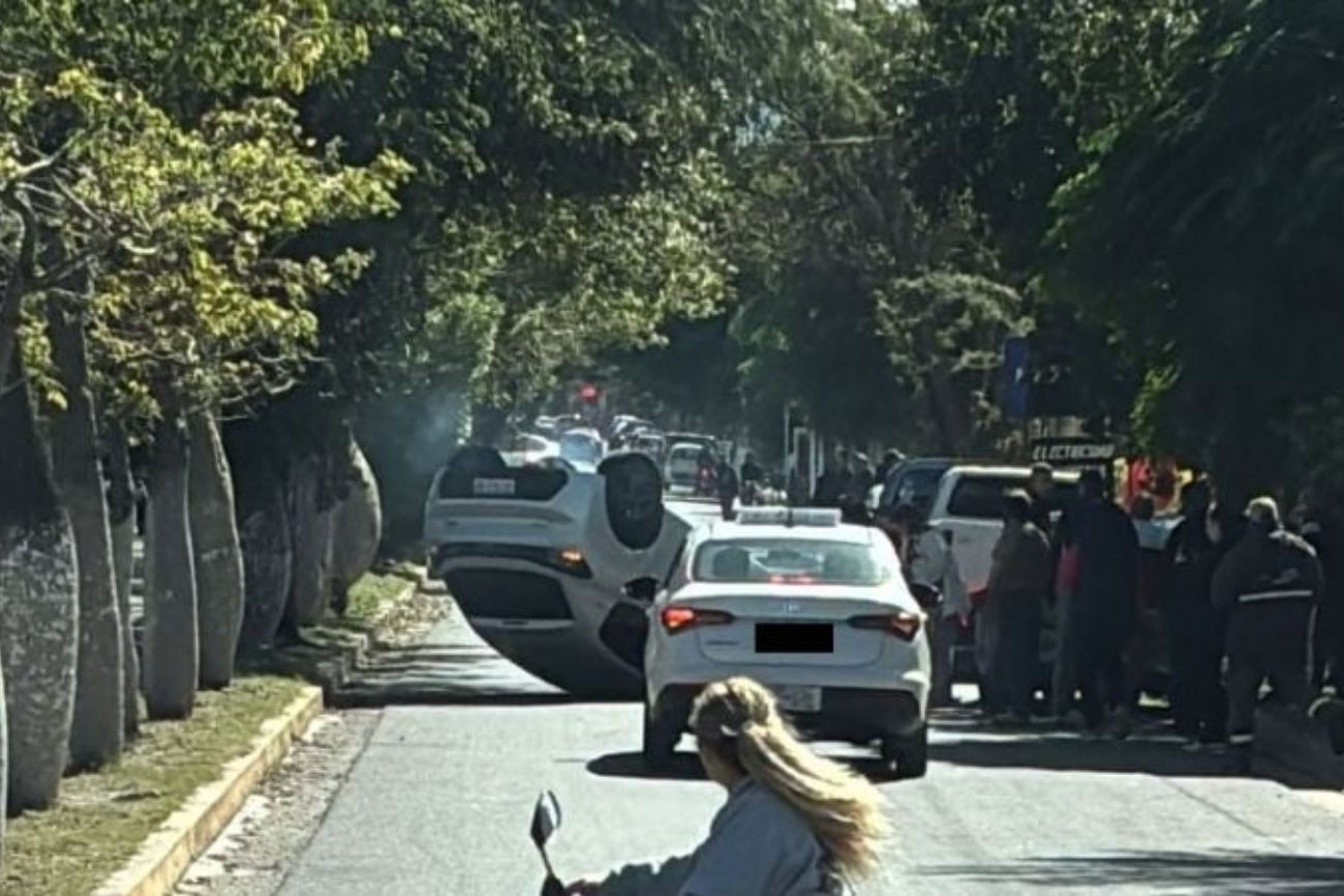 Una familia volcó: un conductor perdió el control "tras ser picado por una abeja"