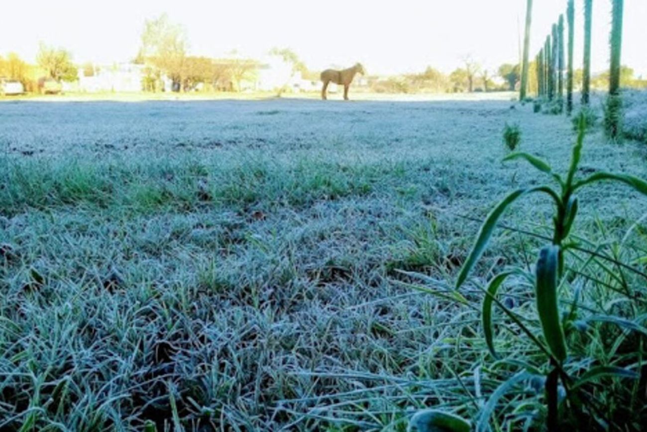 VOLVIÓ EL FRIO. En las Altas Cumbres se registraron -1,9 °C.
