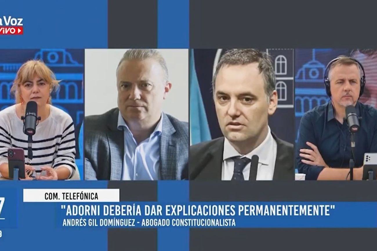 Andrés Gil Domínguez, en diálogo con La Voz En Vivo. 