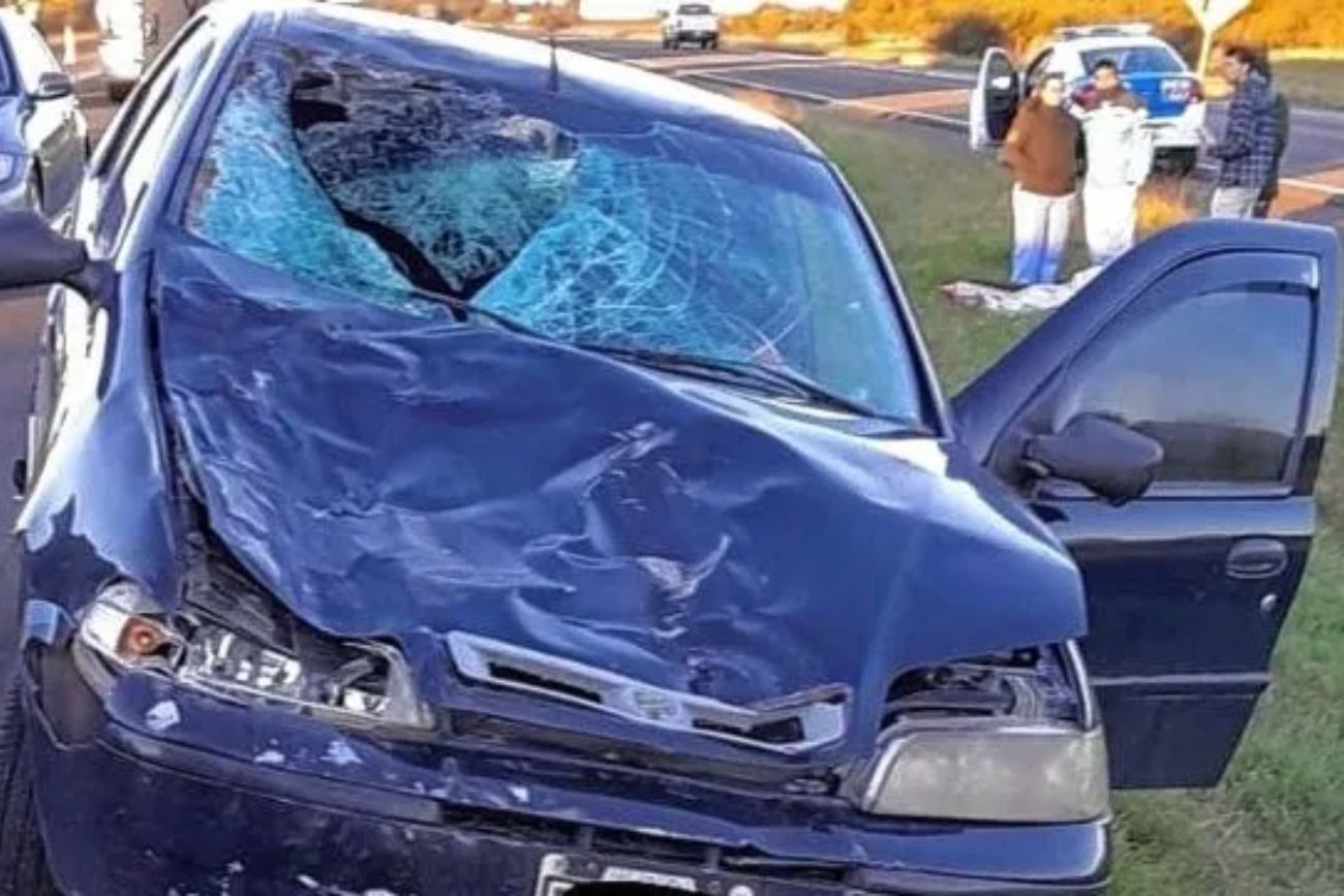 Siniestro vial en la ruta 14: un auto chocó contra un caballo