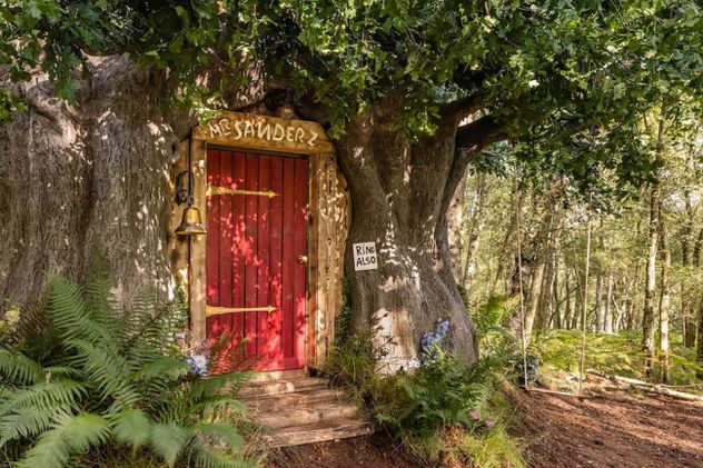El lugar donde nació Winnie Pooh cobra vida: el bosque celebra los 100 años
