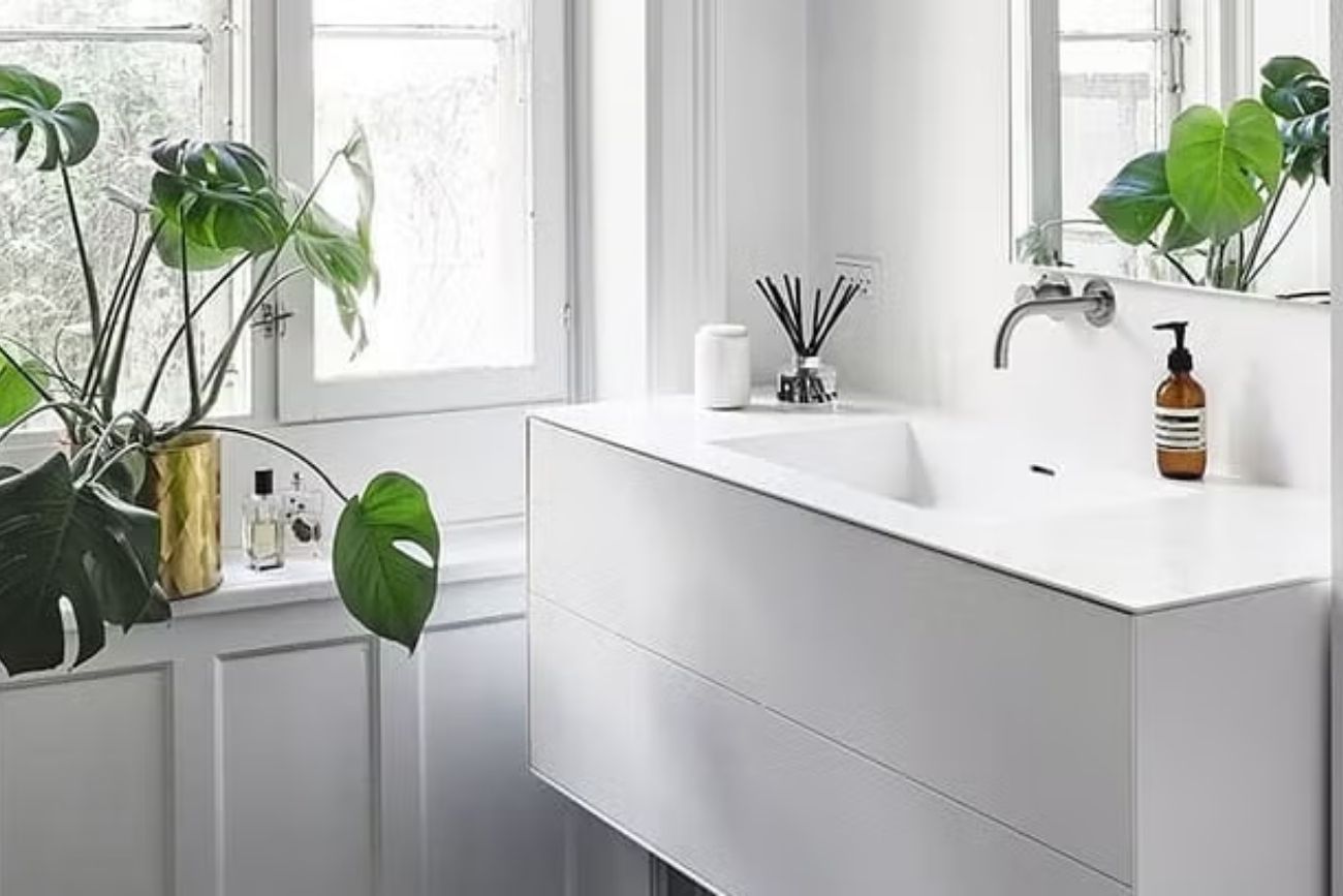 Cuáles son las 3 plantas tendencia para baños en otoño 2026 y por qué reemplazan al potus
