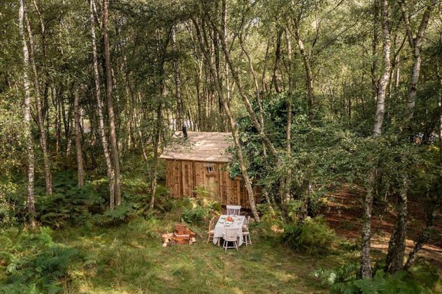 El lugar donde nació Winnie Pooh cobra vida: el bosque celebra los 100 años